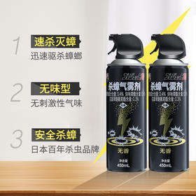 中国 安速 杀蟑气雾剂 450ML 包装随机