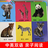 精装硬壳全6册 宝宝认知书 看图识物书启蒙益智早教书 撕不烂翻翻书书籍绘本0到3岁 动物颜色交通数字认物图书12345岁儿童幼儿婴儿 商品缩略图2