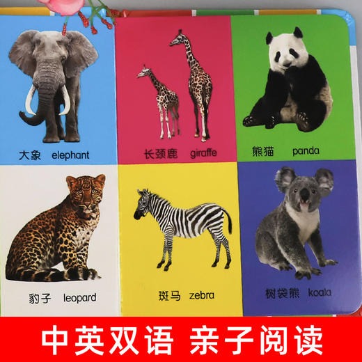 精装硬壳全6册 宝宝认知书 看图识物书启蒙益智早教书 撕不烂翻翻书书籍绘本0到3岁 动物颜色交通数字认物图书12345岁儿童幼儿婴儿 商品图2
