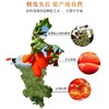 鲜枸杞原浆宁夏中宁新榨头茬特级苟杞构杞子原液果汁正宗开盖即食 商品缩略图4