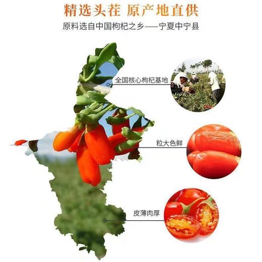 鲜枸杞原浆宁夏中宁新榨头茬特级苟杞构杞子原液果汁正宗开盖即食 商品图4