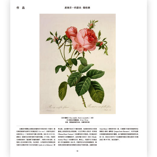 后浪正版 草木之形：植物艺术巡礼 打造一座以植物为主题的纸上艺术博物 商品图2