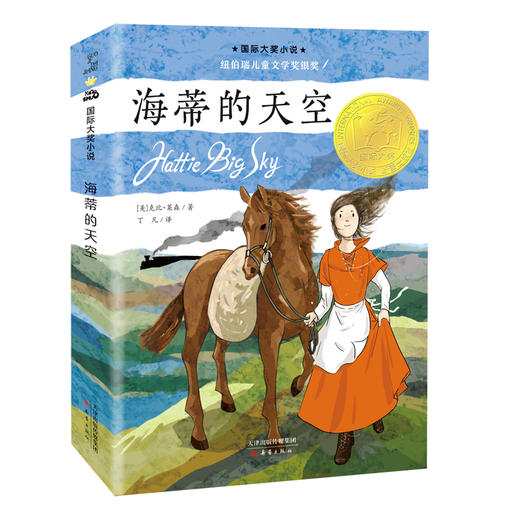 海蒂的天空 商品图0