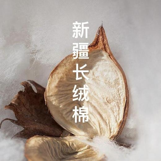 天然新疆棉情侣T恤·ts 商品图2