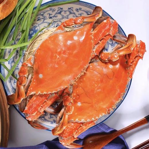 【顺丰冷链】野生速冻梭子蟹 1500g/4-6只 商品图4