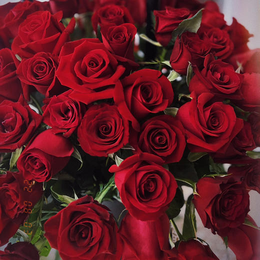 99枝红玫瑰告白爱心气球抱抱桶 商品图5