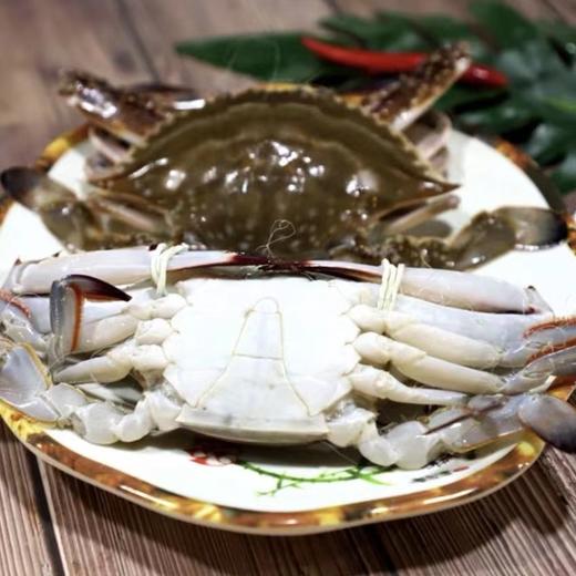 【顺丰冷链】野生速冻梭子蟹 1500g/4-6只 商品图3