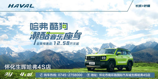 怀化生晖哈弗4S店（展示券） 商品图3