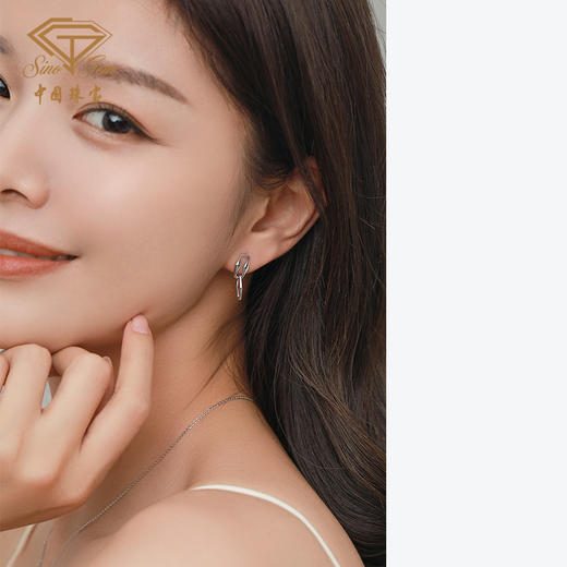 「平衡世界」PT950铂金耳饰耳钉 商品图4