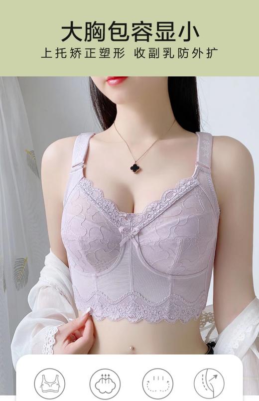 茜茜公主 无钢圈 大胸显小 显廋   梦幻香颂 商品图1