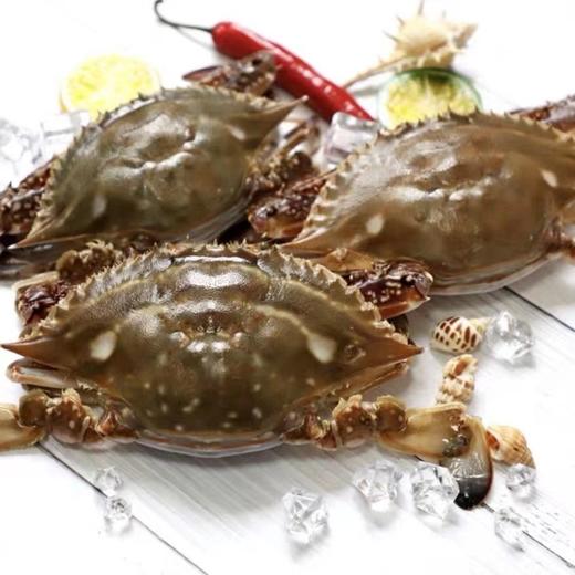 【顺丰冷链】野生速冻梭子蟹 1500g/4-6只 商品图6