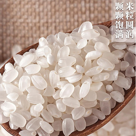 黑龙江庭享东北大米5斤装 商品图0