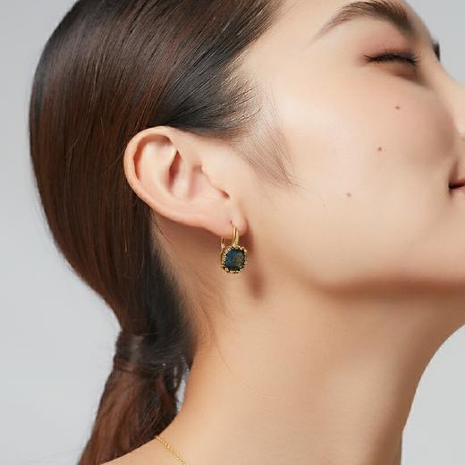 2楼Fellala翡拉拉新款灵石复古气质耳环小众设计感水晶水钻耳饰耳坠 款号921163101 吊牌价599 现价539 商品图1