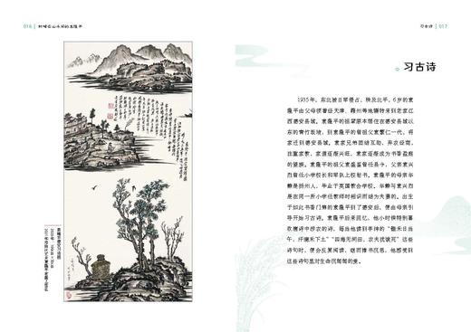 忙碌在山水间的袁隆平【袁隆平院士作序、题字】 商品图6