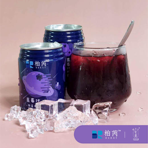 【柏芮】蓝莓汁饮料（罐装）250ml*12罐 商品图3
