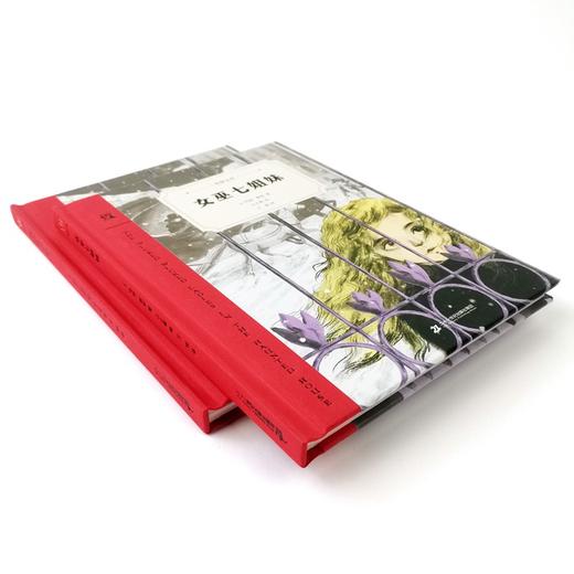 (仓发) 女巫七姐妹 奇想文库第二辑 精装 中年级适读 普利策戏剧奖获得者玛丽•蔡斯倾心之作 /二十一世纪出版社集团/[美]玛丽·蔡斯/9787556848171 商品图2