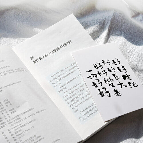 人生效率手册 如何卓有成效地过好每一天 重塑升级版 张萌 著 时间效率管理 不走弯路 抗击拖延症 效率 励志成功 商品图2