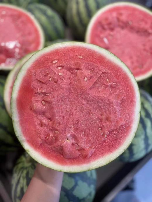 周四取货：【定金链接】无籽麒麟西瓜，5元/斤，甜蜜多汁！预付定金10元，到店称重补差价。 商品图0