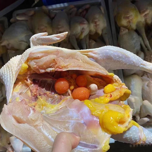 九华山 500天散养母鸡  顺丰冰鲜发货 包邮 商品图2