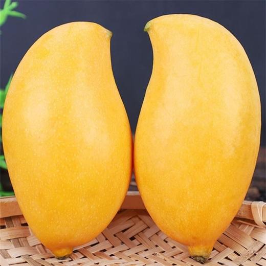 鹰嘴芒 500g/份 商品图1