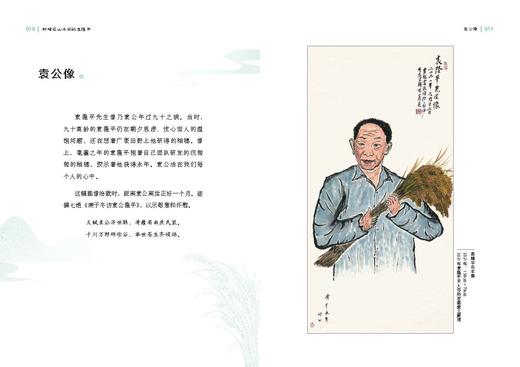 忙碌在山水间的袁隆平【袁隆平院士作序、题字】 商品图3