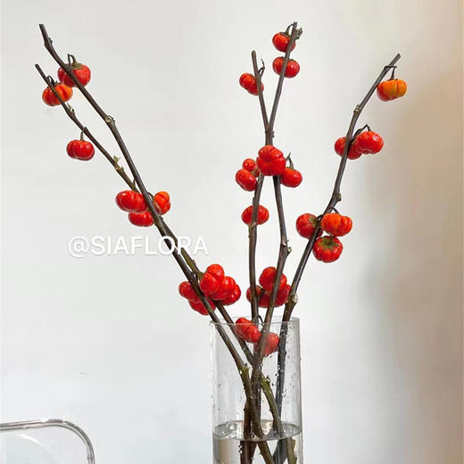 小南瓜鲜切花一扎 商品图12