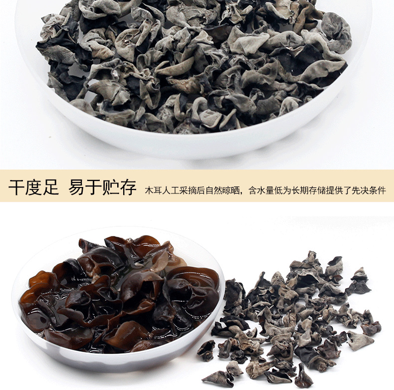 木耳_07
