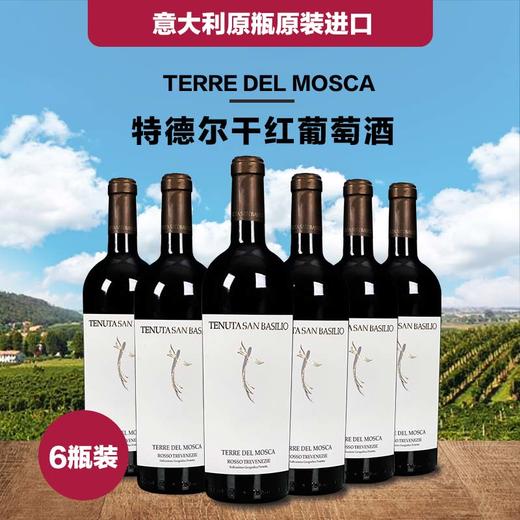 一箱 意大利特德尔干红葡萄酒 750ML 酒精度15% 原瓶原装进口 商品图0