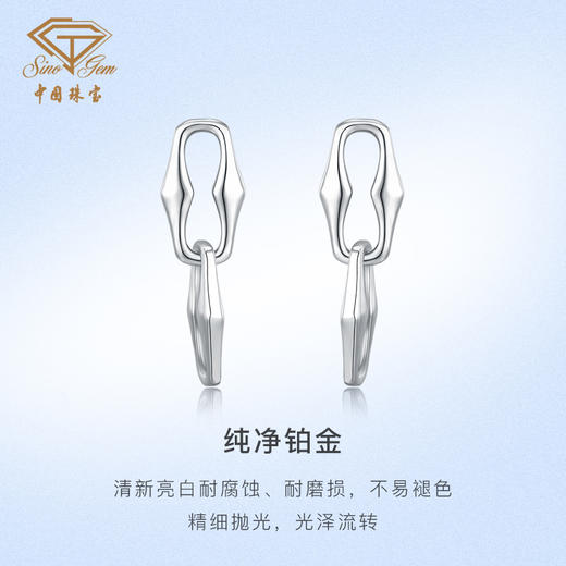 「平衡世界」PT950铂金耳饰耳钉 商品图2