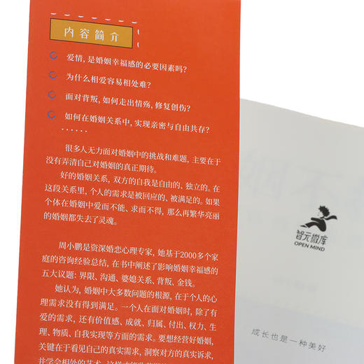 婚姻不将就：女心理师的家庭咨询手记 商品图5