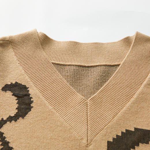 MIIDII谜底2022春新款简约时髦H型V领针织衫221MZ0320 商品图2