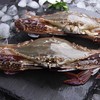 【顺丰冷链】野生速冻梭子蟹 1500g/4-6只 商品缩略图2