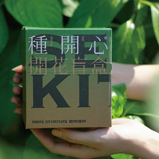 自然造物种开心植物盲盒儿童种植小盆栽办公室绿植花卉伴手礼七夕 商品图4