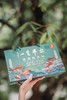 中华老字号南普陀食品一生平安素粽送礼佳品 商品缩略图9