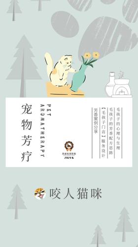 《宠芳案例——咬人的猫咪》