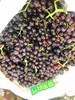 火焰无核葡萄二斤（拼团） 商品缩略图0