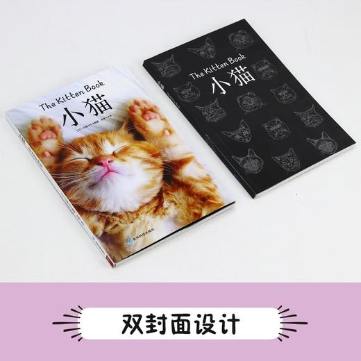 小猫 日本日贩IPS 著 科普读物 商品图1