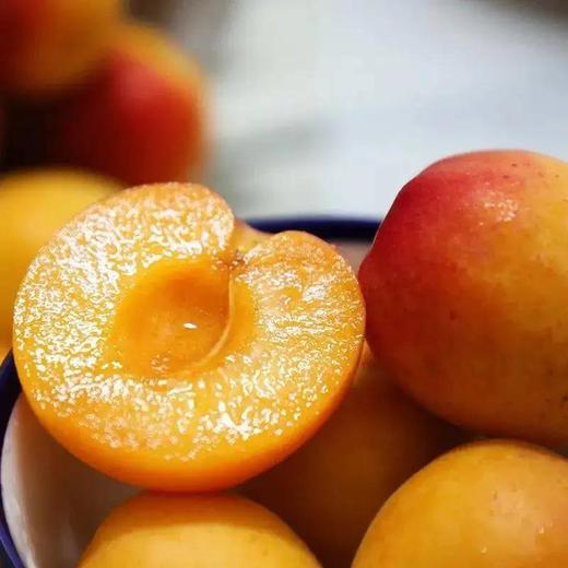 蜜杏| 水果 商品图0