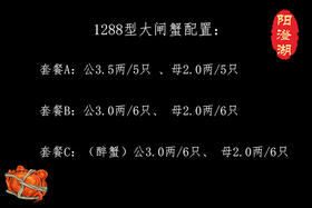 阳澄御宴1288型大闸蟹礼盒