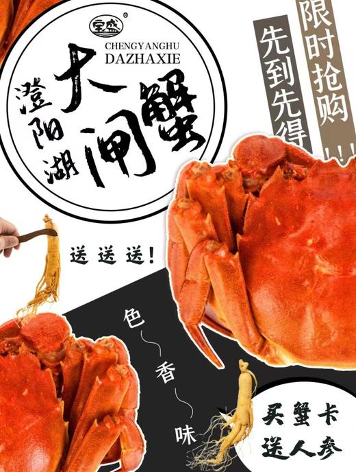 【宝盛】阳澄湖大闸蟹蟹卡 商品图2