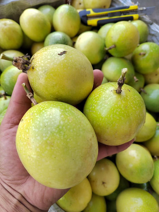 小区门口自提 ｜补维C！新鲜上市的正宗海南钦蜜9号百香果 ，甜甜的！适合直接吃，大果，3斤/份 商品图4