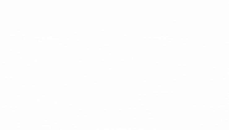 #新手养成攻略6则# 接狗狗到家