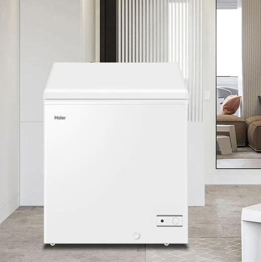 海尔（Haier）冰柜BC/BD-146HMP 商品图10
