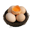 【两份立减20元 密农特色 必买榜单】农家安鲜柴鸡蛋 土鸡蛋  纯粮喂养0激素 30枚 包邮装 商品缩略图8