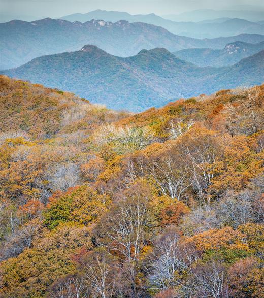 10月5日出发，东北内蒙秋色·辽宁本溪红叶、奈曼旗沙漠、怪柳8天摄影 商品图13