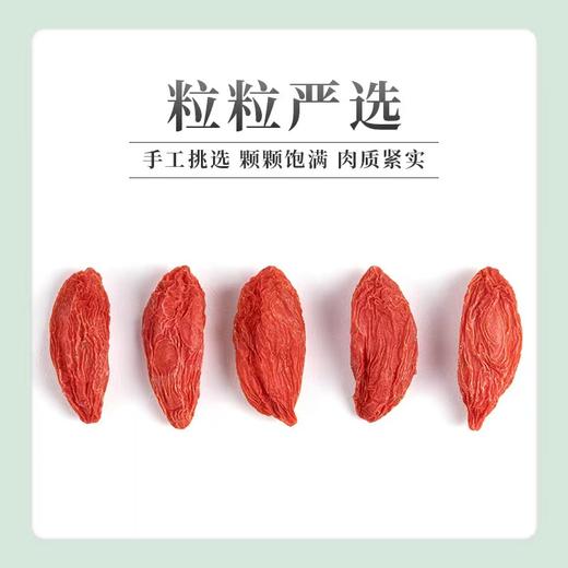 【宁夏中宁枸杞】早安情宁夏枸杞 道地枸杞 粒粒严选 罐装250g。ry 商品图2