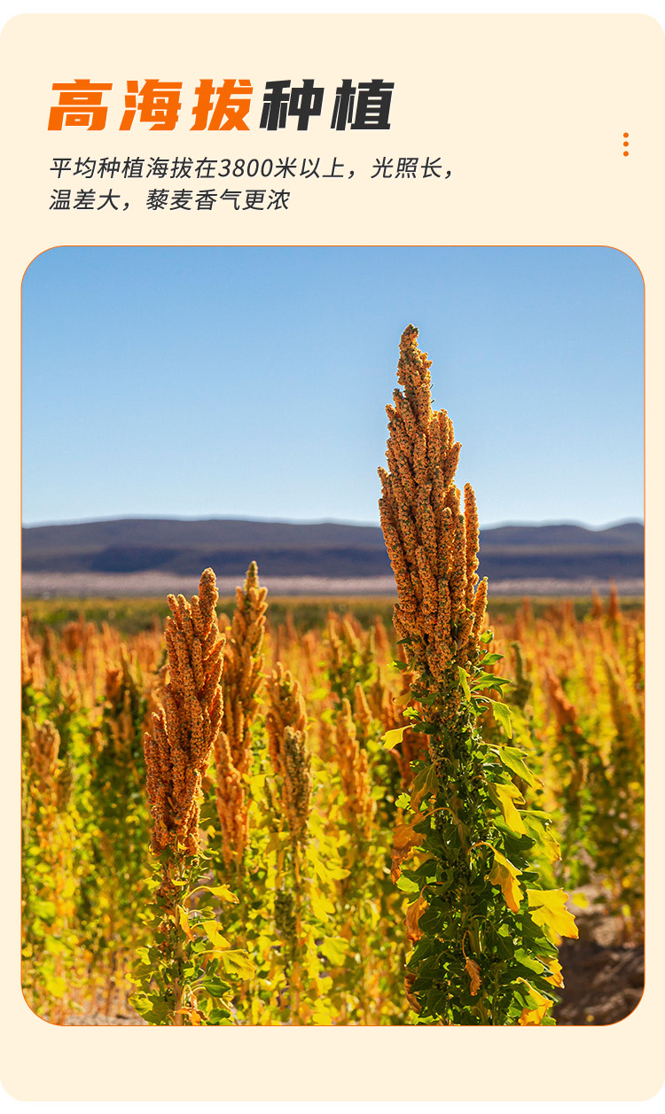 可益康 三色藜麦 原产地进口 颗粒饱满 全营养食物 480g/盒 买1送1