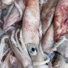 〔象山码头直发包邮17〕码头海鲜野生梭子蟹/鲳鱼/带鱼/深海黄鱼/野生花蛤/海钓鲷鱼/红膏青蟹/芒种虾皮/带膏小管/泥蛏子/斑节虾/翡翠鲍鱼/章鱼/琵琶虾/皮皮虾/小船红虾/墨鱼干 商品缩略图13