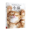 小猫 日本日贩IPS 著 科普读物 商品缩略图0