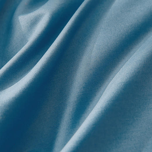 10楼 富安娜 蓝屿双面抗菌红嘴雁鸭绒四季被【绒子含量90%吊牌价3980-4580元 活动价1599-1699元 商品图3